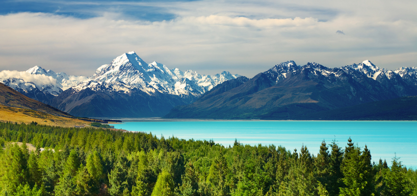 New Zealand 2 Untitled design 48