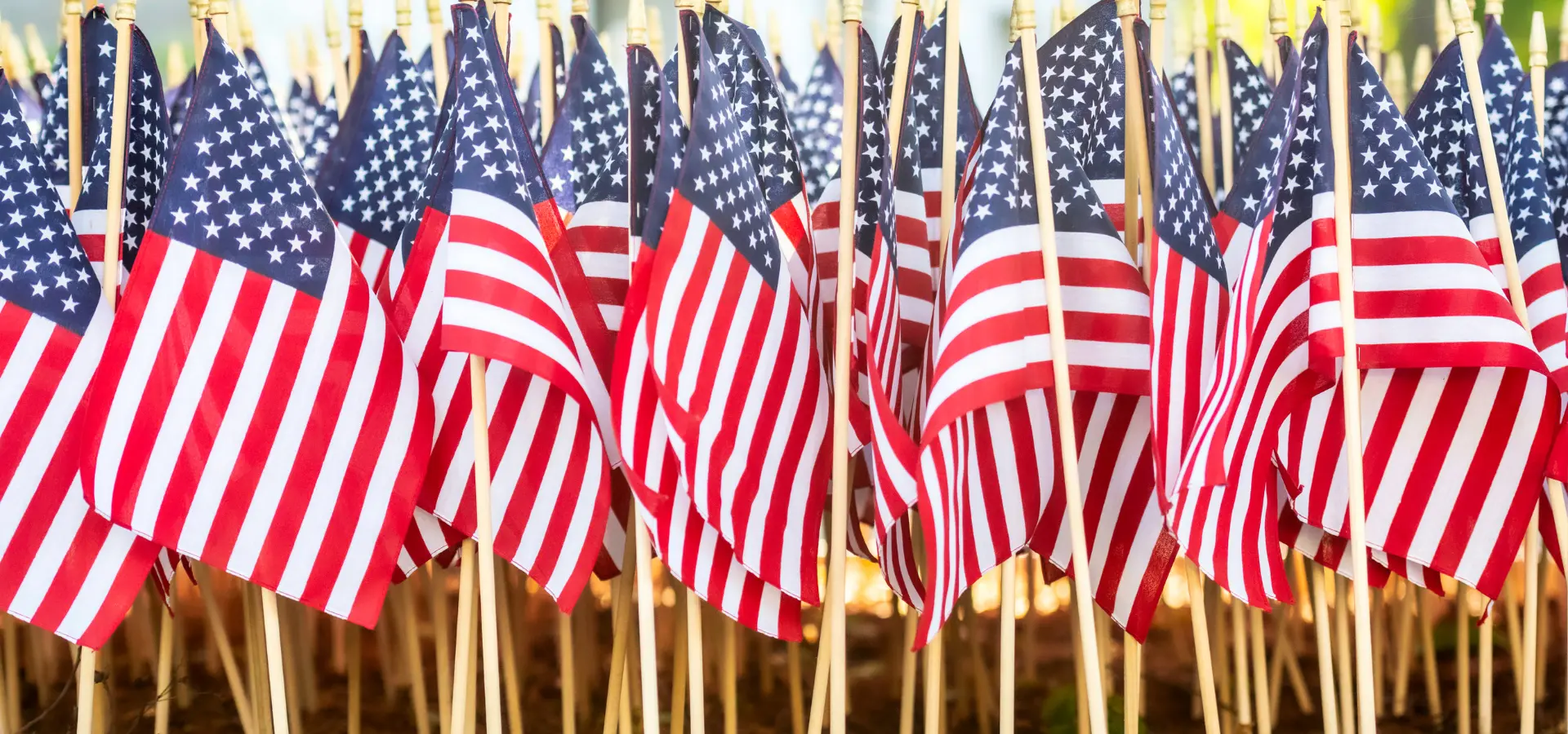 Requirements for Canada PR for UAE Residents Your Complete Guide 11