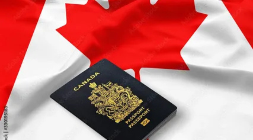 A Comprehensive Guide to Canada Visa Application Online 31 Visa Application